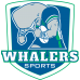 Whalers Sports Players Shorts